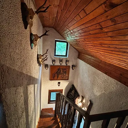 Vikendica Mrki Vuk * Amajic